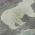 Gray color or pattern variation