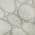 Ivory color or pattern variation