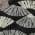 Black color or pattern variation