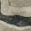 Putty color or pattern variation