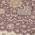 Plum color or pattern variation