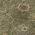 Olive color or pattern variation