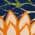 Multicolor color or pattern variation