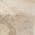 Beige color or pattern variation