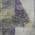 Purple color or pattern variation