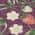 Eggplant color or pattern variation