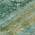 Green color or pattern variation