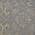 Gray color or pattern variation
