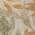 Putty color or pattern variation