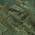 Green color or pattern variation