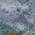 Blue color or pattern variation