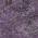 Plum color or pattern variation