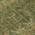 Olive color or pattern variation