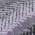 Plum color or pattern variation
