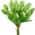 Green color or pattern variation