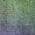 Green color or pattern variation