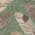 Green color or pattern variation