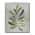 Gray color or pattern variation