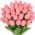 Pink color or pattern variation
