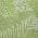 Lime color or pattern variation