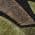 Black color or pattern variation