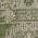 Green color or pattern variation