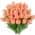 Orange color or pattern variation