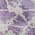 Lilac color or pattern variation