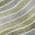 Fern color or pattern variation