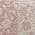 Rose color or pattern variation