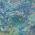 Blue color or pattern variation