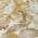 Wheat color or pattern variation