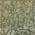 Olive color or pattern variation