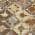 Brown color or pattern variation