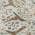 Ivory color or pattern variation