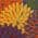 Navy Multicolor color or pattern variation