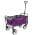Purple color or pattern variation