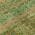 Green color or pattern variation