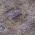 Brown color or pattern variation
