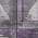 Purple color or pattern variation