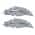 Grey White color or pattern variation