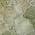 Green color or pattern variation