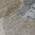 Taupe color or pattern variation