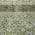 Olive color or pattern variation