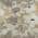 Beige color or pattern variation