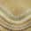 Gold color or pattern variation
