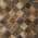 Brown color or pattern variation