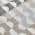 Gray color or pattern variation