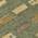 Olive color or pattern variation