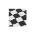 Black/White color or pattern variation